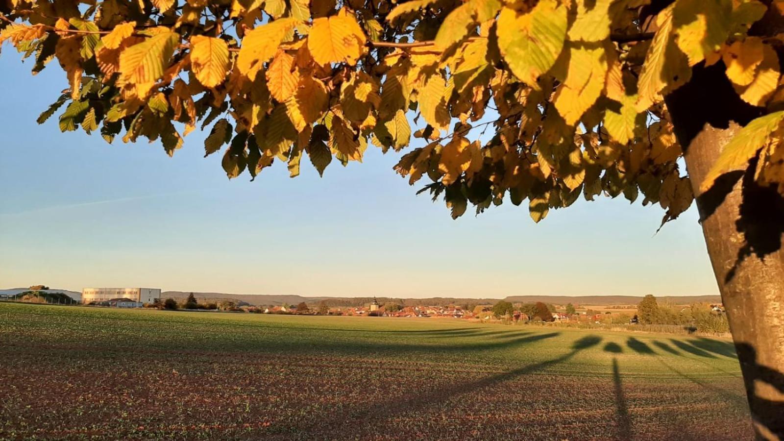 Stilvolle Ferienwohnung Im Eichsfeld Niederorschel Esterno foto