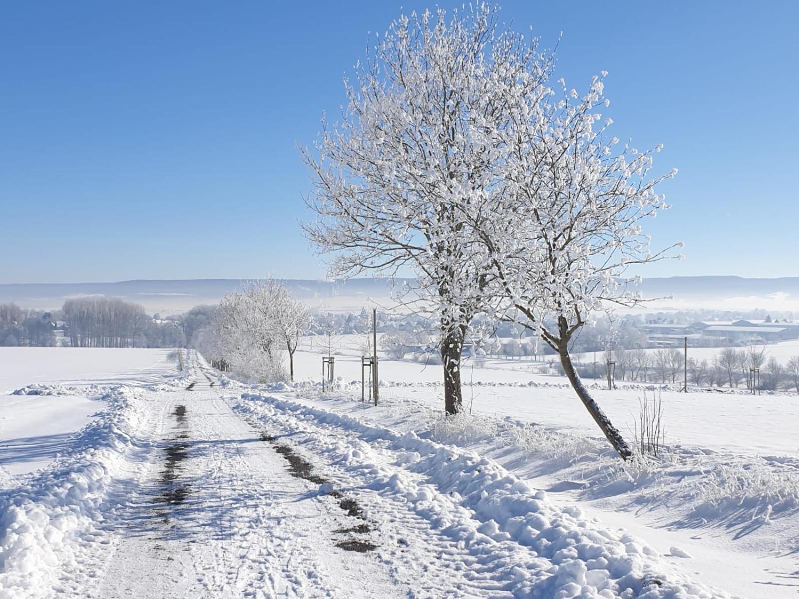 Stilvolle Ferienwohnung Im Eichsfeld Niederorschel Esterno foto
