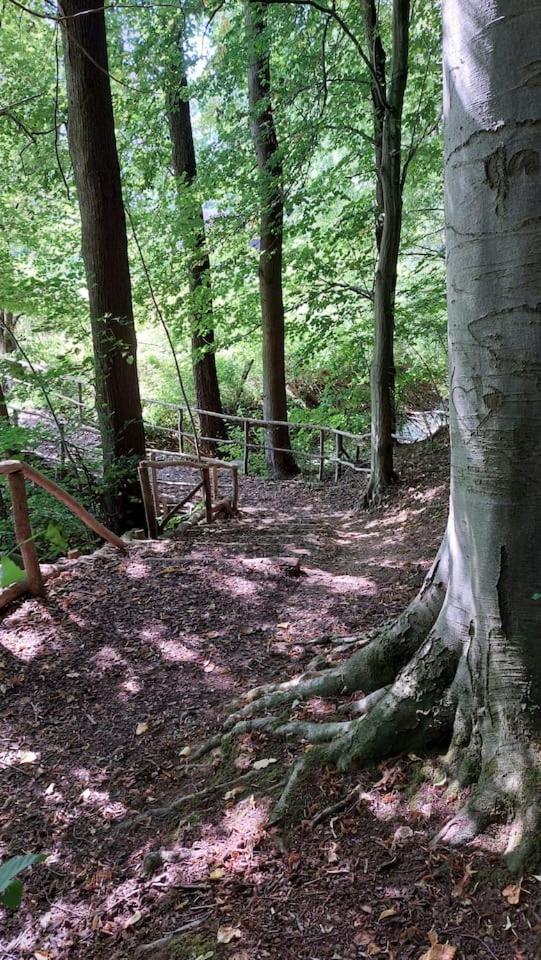 Stilvolle Ferienwohnung Im Eichsfeld Niederorschel Esterno foto